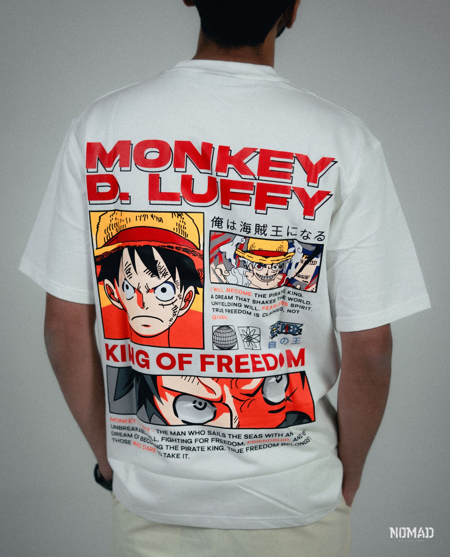 One Piece- Monkey D. Luffy